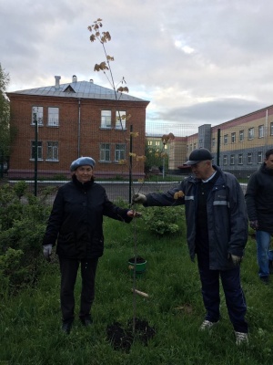 dqlevc1buo.jpg dqlevc1buo.jpg