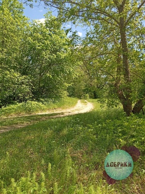 j6qBETwul2.jpg j6qBETwul2.jpg