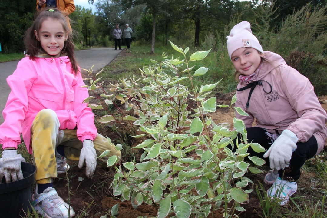 posadka19.jpg posadka19.jpg