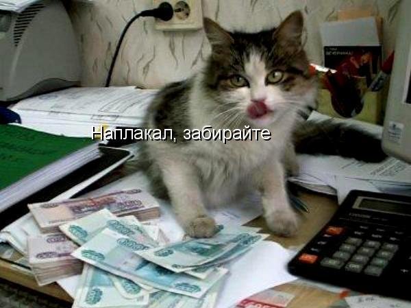 1544459116_prikolnye_kartinki_zhivotnykh_s_podpisjami_70_foto.jpg