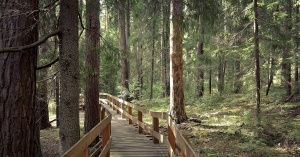 Заповедник_2.jpg Заповедник_2.jpg