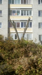 Юности-3.jpg Юности-3.jpg
