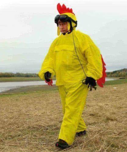 Петух.jpg Петух.jpg