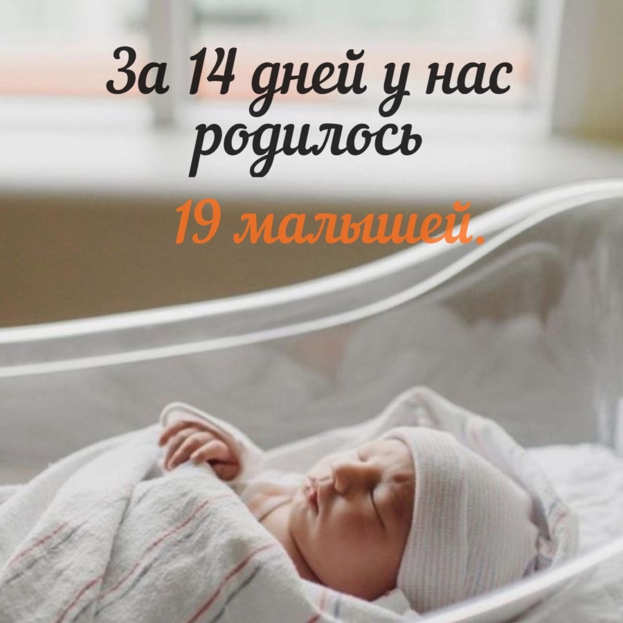 Родилось.jpg