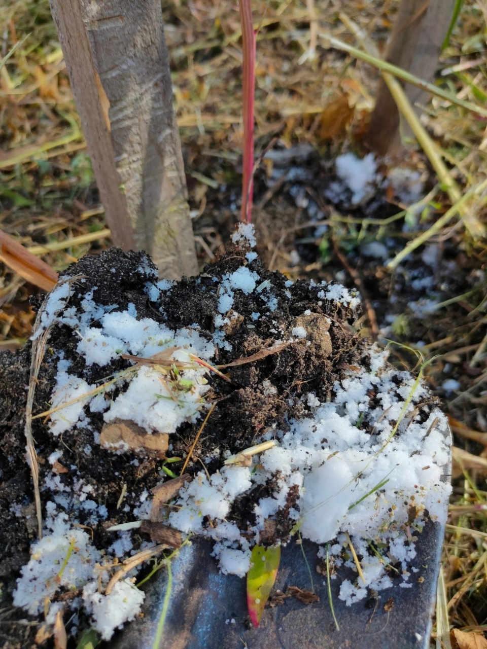 Соль-2.jpg Соль-2.jpg