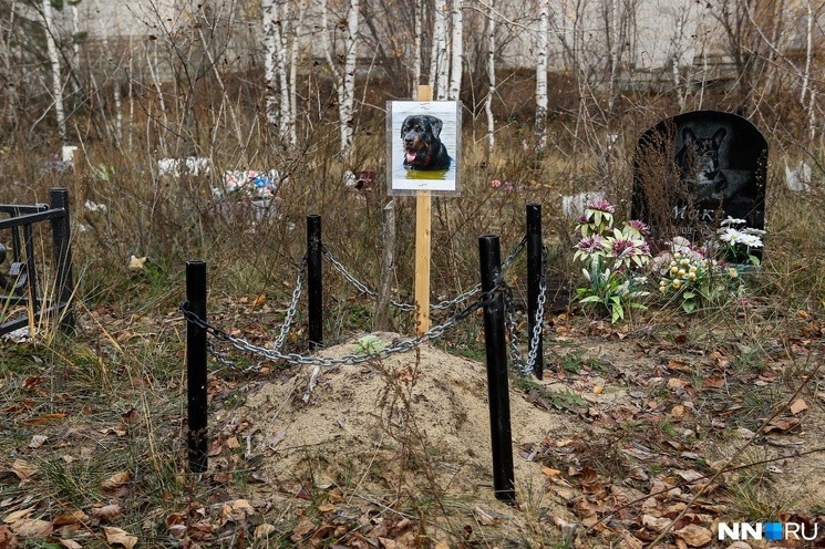 Кладбище-2.jpg Кладбище-2.jpg