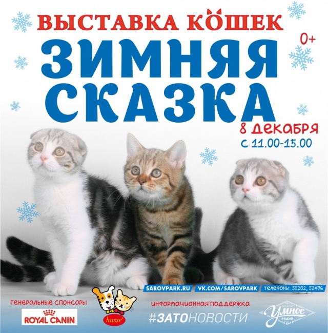 p3p5gjKSod4.jpg p3p5gjKSod4.jpg