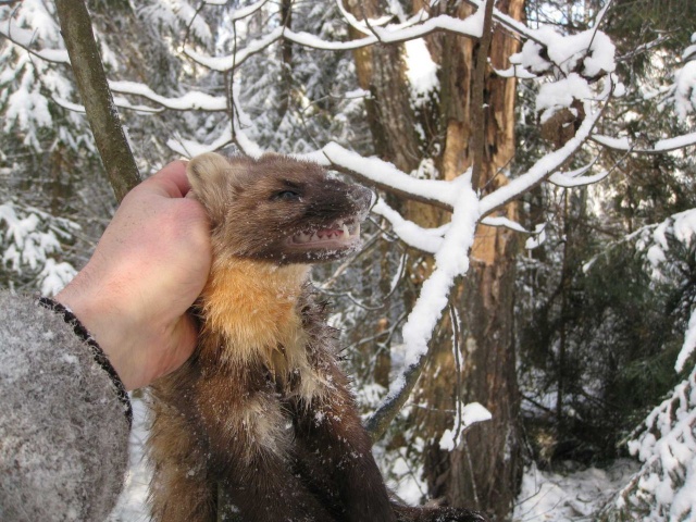 1853301.jpg 1853301.jpg