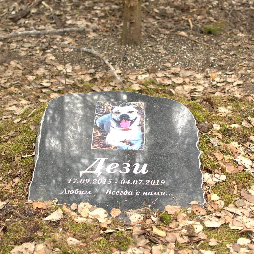 MHoVf5Ju0y4.jpg MHoVf5Ju0y4.jpg