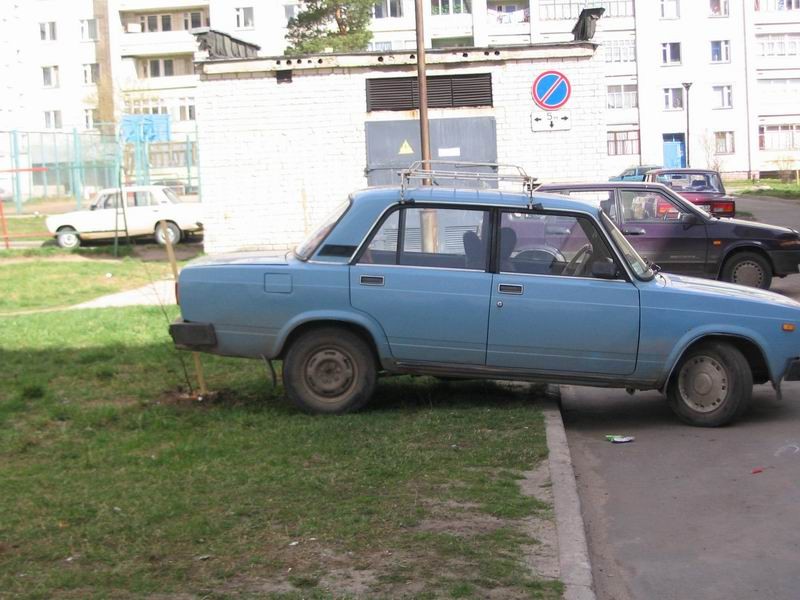 Машина на газоне наезд на саженец-2