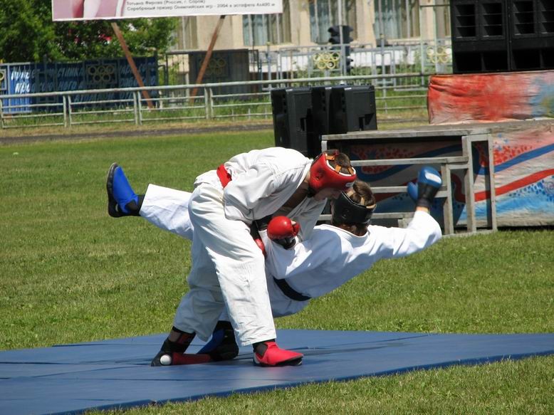 день города 2007