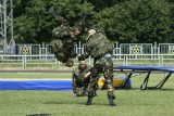 _MG_1292L