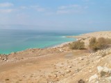 PICT0078