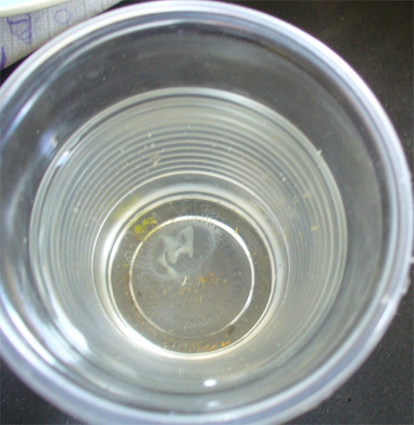 P1000753