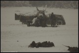 67903925