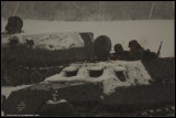 67904054