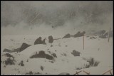 67903716