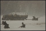 67903719