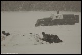 67903721