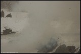 67903825