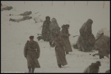 67903511