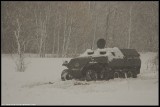 67903591
