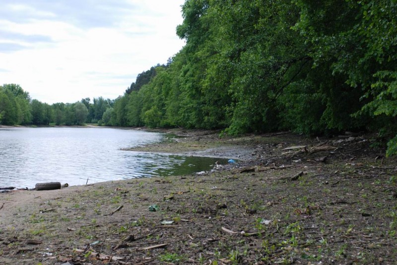 р.Сатис, 2008 48