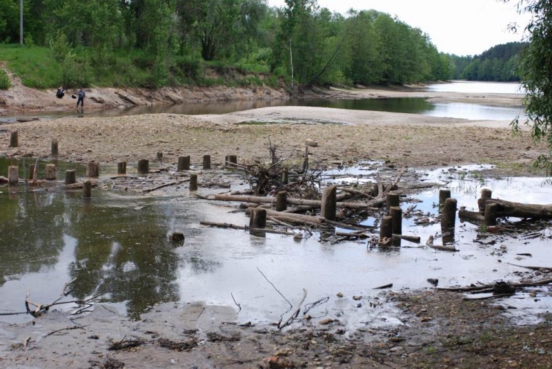 р.Сатис, 2008 45