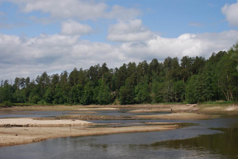 р.Сатис, 2008 43