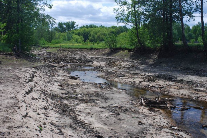 р.Сатис, 2008 42