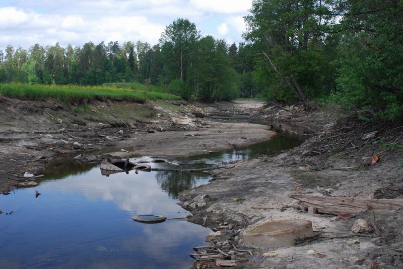 р.Сатис, 2008 39