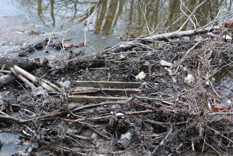 р.Сатис, 2008 33