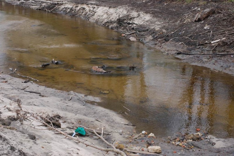 р.Сатис, 2008 18