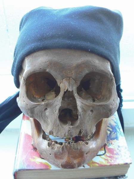 Бедный Йорик