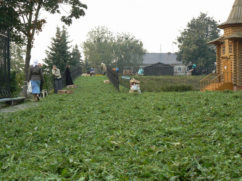 Лето кончилось.. время топтать траву