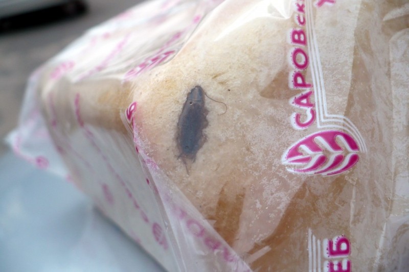 Саровский хлеб-4.jpg