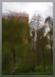 ... очередная фотка из серии "Мир отражений"