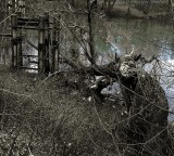 Осень (2)