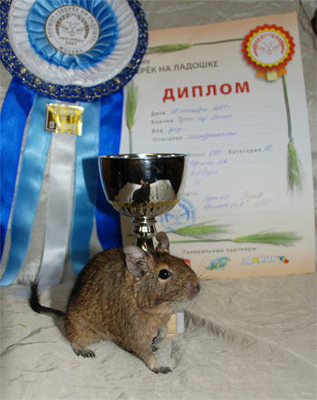Выставка-6